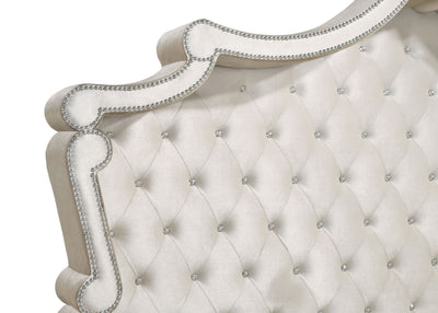 Antonella Beds