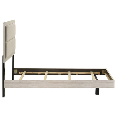 Trenton Beds