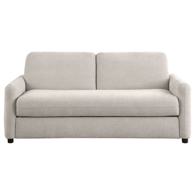 Rylie Sleeper Sofa